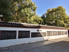 -绳金塔
