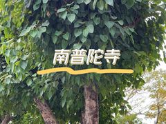 -南普陀寺