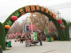 -兰陵国家农业公园