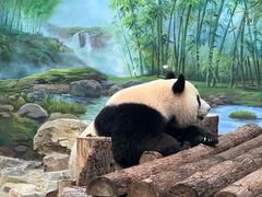-杭州动物园