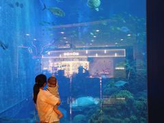 -成都浩海立方海洋公园