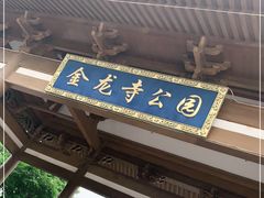 -金龙寺国家森林公园