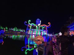 -广东茂名森林公园