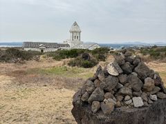 -涉地可支