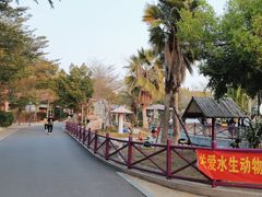 -灵玲国际马戏城