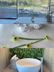 -VELEE·SPA高定疗愈会所