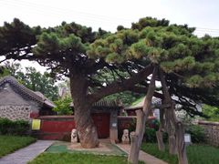 -北京西山国家森林公园