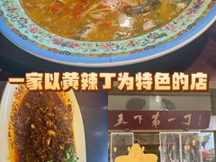 -胖大姐黄辣丁鱼庄(新津店)