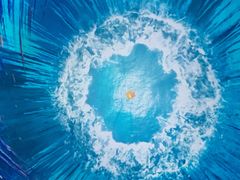 -海合安武汉极地海洋公园
