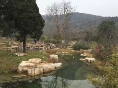 -习家池