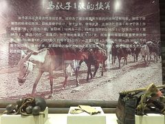 -迪庆藏族自治州博物馆