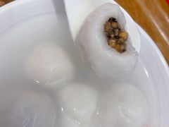 -海丝金凤(金鱼店)
