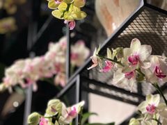 -街角 T·COFFEE 融合料理·BISTRO(车公庙店)