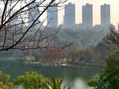 -重庆彩云湖湿地公园