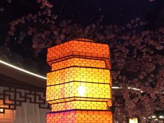 -荷塘秋月·本帮江浙菜(国权路店)