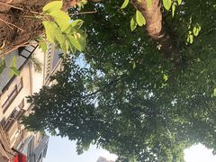 -陈添記·祖傳爽鱼皮·西关老字号(广州首店)