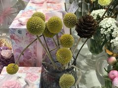-花邻FloweringLife花艺气球派对(武康大楼店)