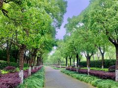 -上海海湾国家森林公园