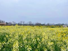 -中国天府农业博览园