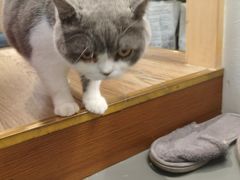 -解忧集市(北京路天河城店)