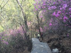 下山小路-野三坡百草畔景区