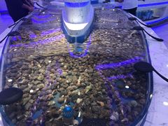 -澜悦港海鲜体验主题餐厅