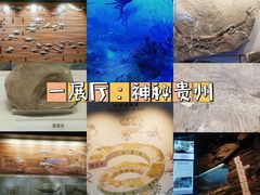-贵州省地质博物馆