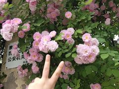 -南通奥特莱斯购物广场