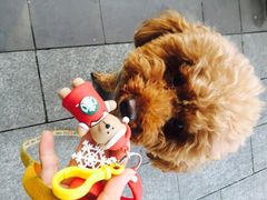-星巴克(兰桂坊店)