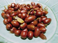 小鱼花生米-本寻烧肉酒场(双井店)