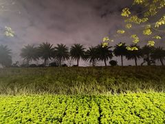 -白石龙音乐公园