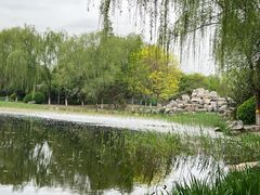 -东升八家郊野公园