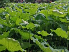 -丝绸小镇荻港古村
