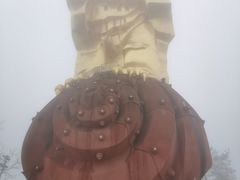 -大金鹰园