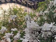 -苏州园林博物馆