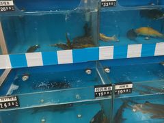 -北国超市(益元店)