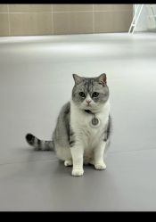 -我舞空间舞蹈培训