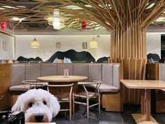 -品味泸沽湖•民族特色菜(大落水店)