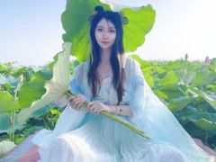 -白洋淀景区