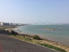 -八仔大富楼·河鲜(西江店)