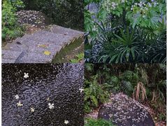 -火炉山森林公园