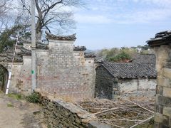 -桑洲油菜花景区