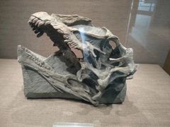 -自贡恐龙博物馆