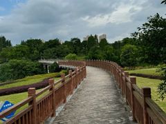 -铁山坪森林公园