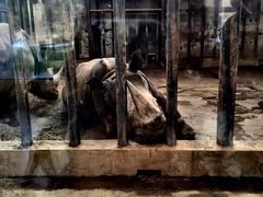 -石家庄市动物园