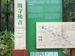 -莫里热带雨林景区