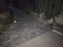 -堤角公园