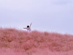 -嘉北郊野公园