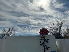-海岛日记(养马岛店)