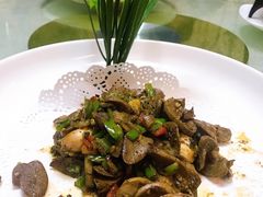-丁老爷子苏香圆